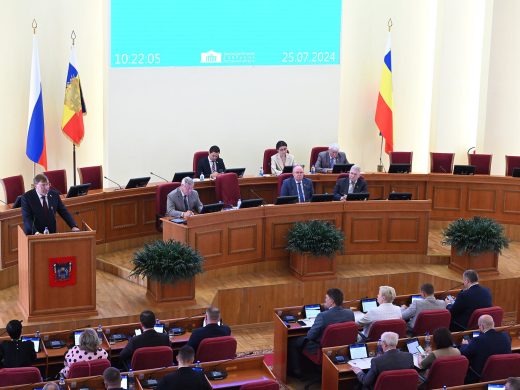 Чем займутся Донские парламентарии во втором полугодии?