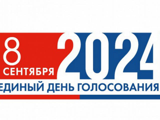 Прозрачность и справедливость выборов на Дону обеспечат общественные наблюдатели