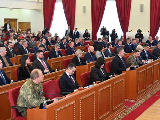 Социальная поддержка детства – в приоритетах Донского парламента