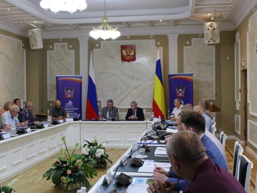 Общественная палата отчиталась перед депутатами